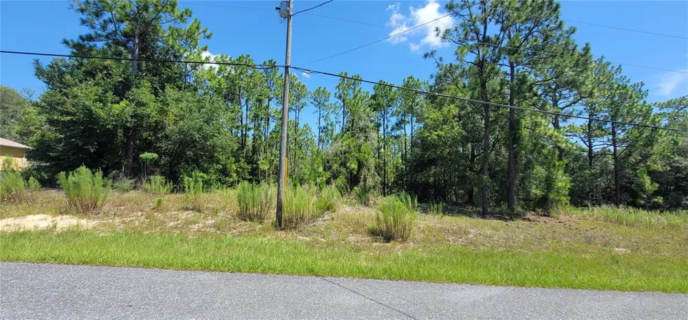 7163 GLENRIDGE CIRCLE Citrus Springs, FL 34434