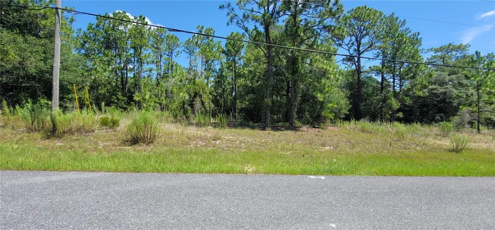 7163 GLENRIDGE CIRCLE Citrus Springs, FL 34434