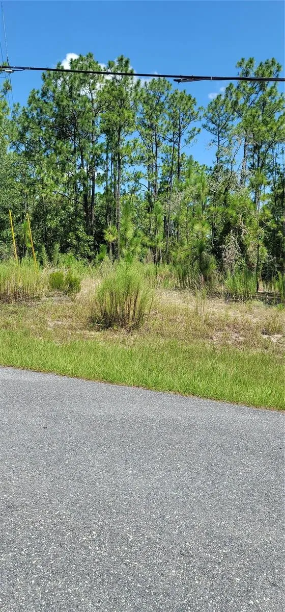 7163 GLENRIDGE CIRCLE Citrus Springs, FL 34434