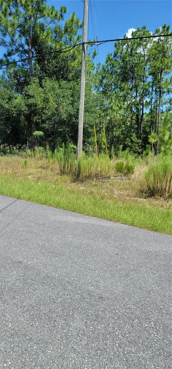 7163 GLENRIDGE CIRCLE Citrus Springs, FL 34434