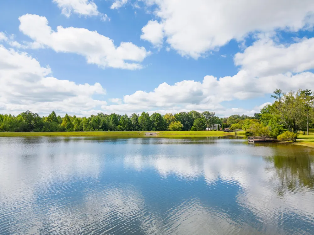 2168 Bluff View Drive Dunlap, TN 37327