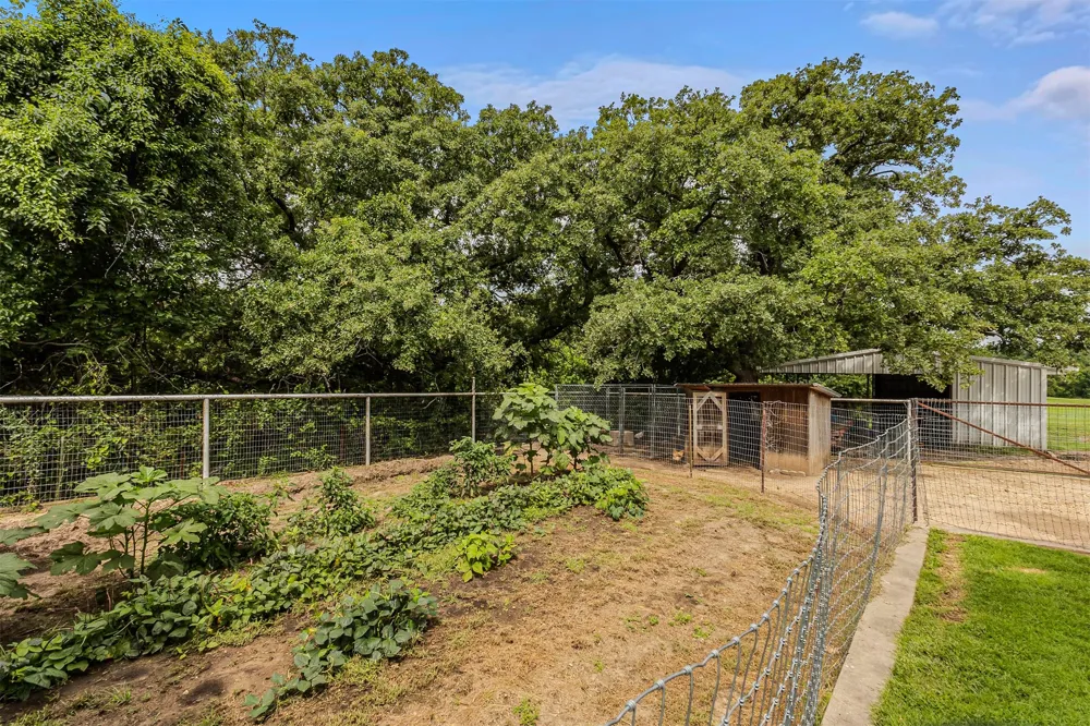 339 Colwell Road Forestburg, TX 76239