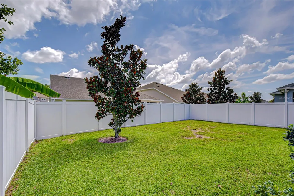 15371 CARAVAN AVENUE Odessa, FL 33556