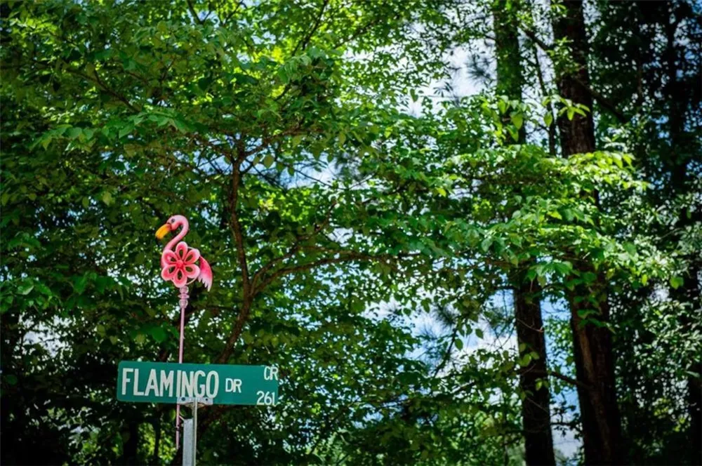 230 Flamingo Dr Monticello, GA 31064
