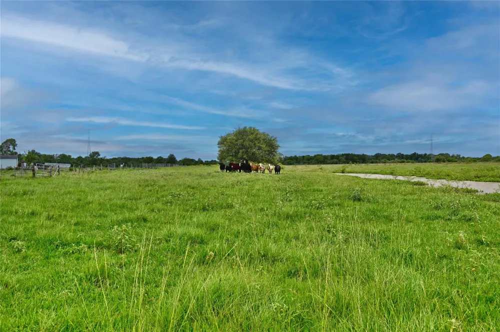 Lisa Mae Road Bellville, TX 77418
