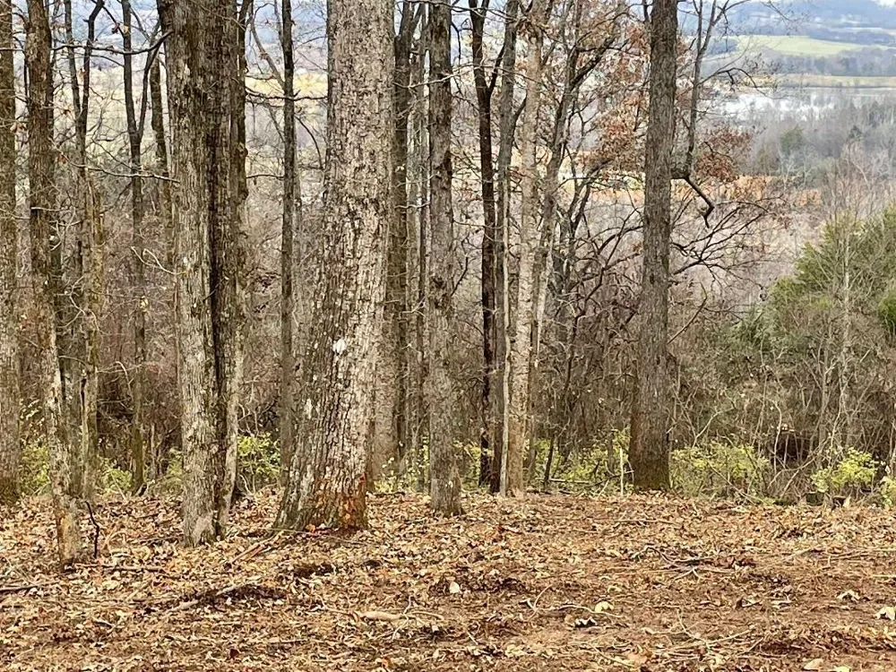 0 Poplar Drive Sweetwater, TN 37874