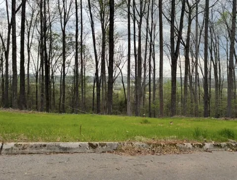 0 Lot 10 Poplar Drive