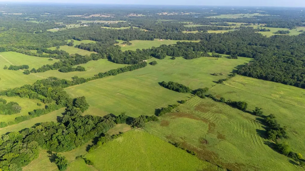 SW County Road 3250 Winnsboro, TX 75494