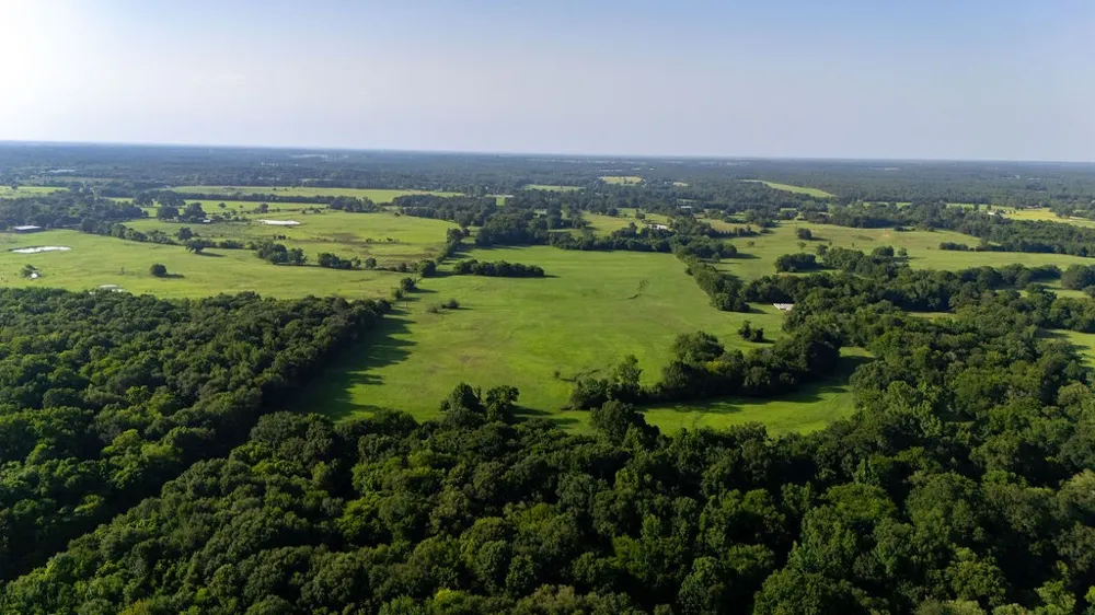 SW County Road 3250 Winnsboro, TX 75494