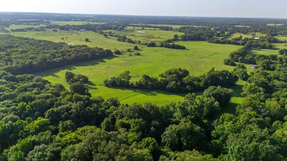 SW County Road 3250 Winnsboro, TX 75494