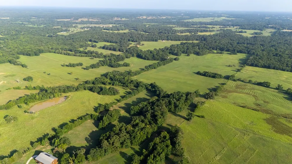 SW County Road 3250 Winnsboro, TX 75494
