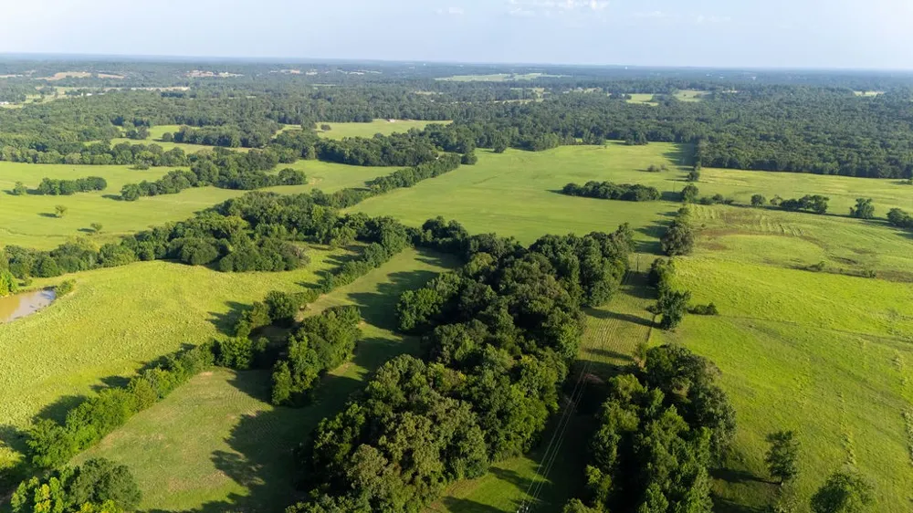 SW County Road 3250 Winnsboro, TX 75494