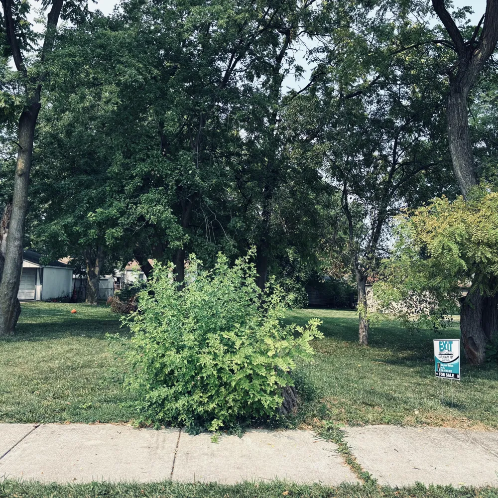 Weddel St Taylor, MI 48180