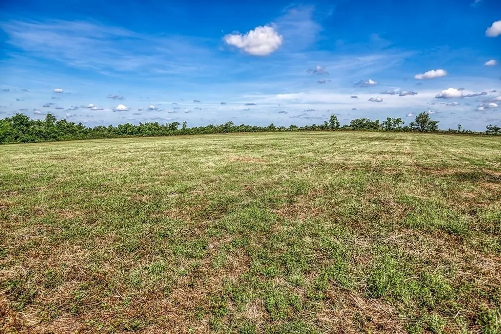 3 Asa Hoxie Road E Brenham, TX 77833