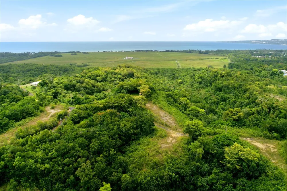 CARR 115, KM 25.000 BO. ASOMANTE Aguada, PR 00602