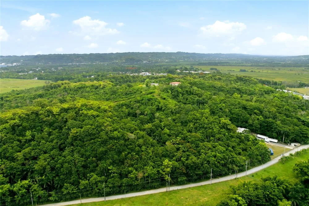 CARR 115, KM 25.000 BO. ASOMANTE Aguada, PR 00602