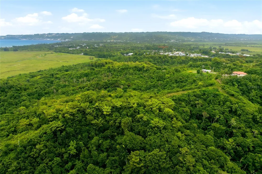 CARR 115, KM 25.000 BO. ASOMANTE Aguada, PR 00602