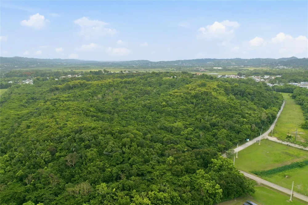 CARR 115, KM 25.000 BO. ASOMANTE Aguada, PR 00602