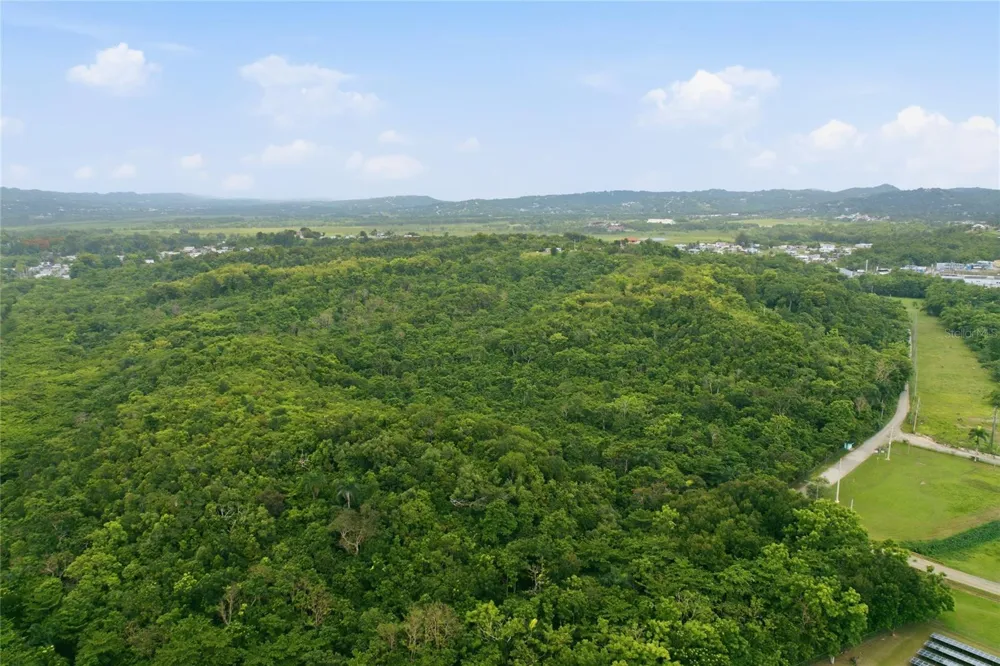 CARR 115, KM 25.000 BO. ASOMANTE Aguada, PR 00602