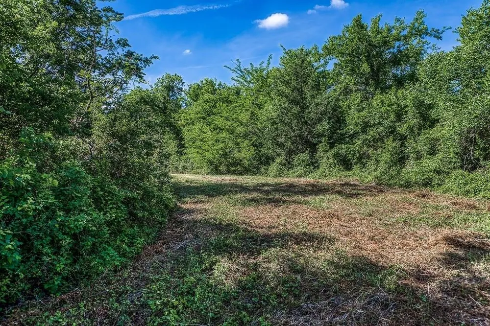 1 Asa Hoxie Road E Brenham, TX 77833