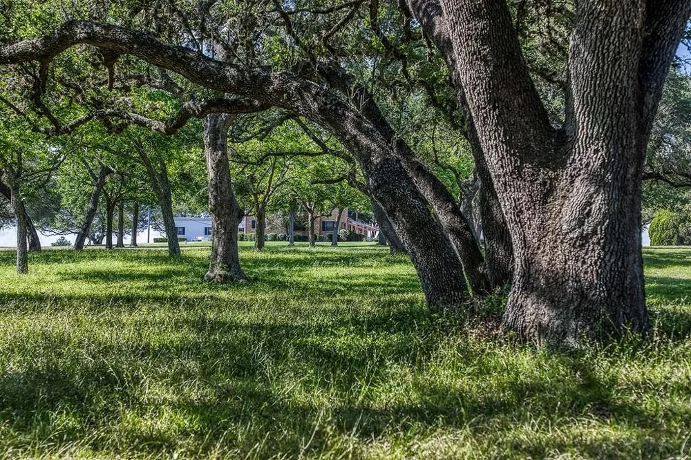 1 Asa Hoxie Road E Brenham, TX 77833