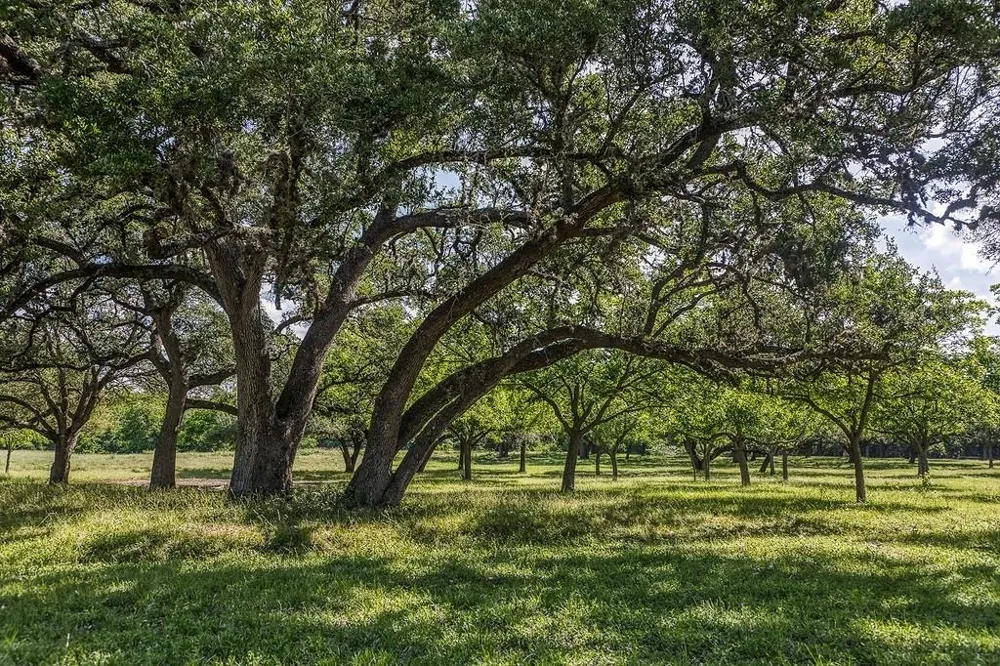 1 Asa Hoxie Road E Brenham, TX 77833