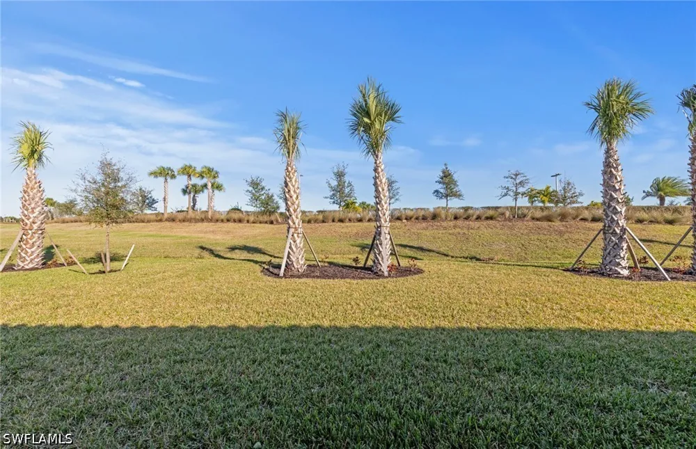 Memorial Lane Ave Maria, FL 34142