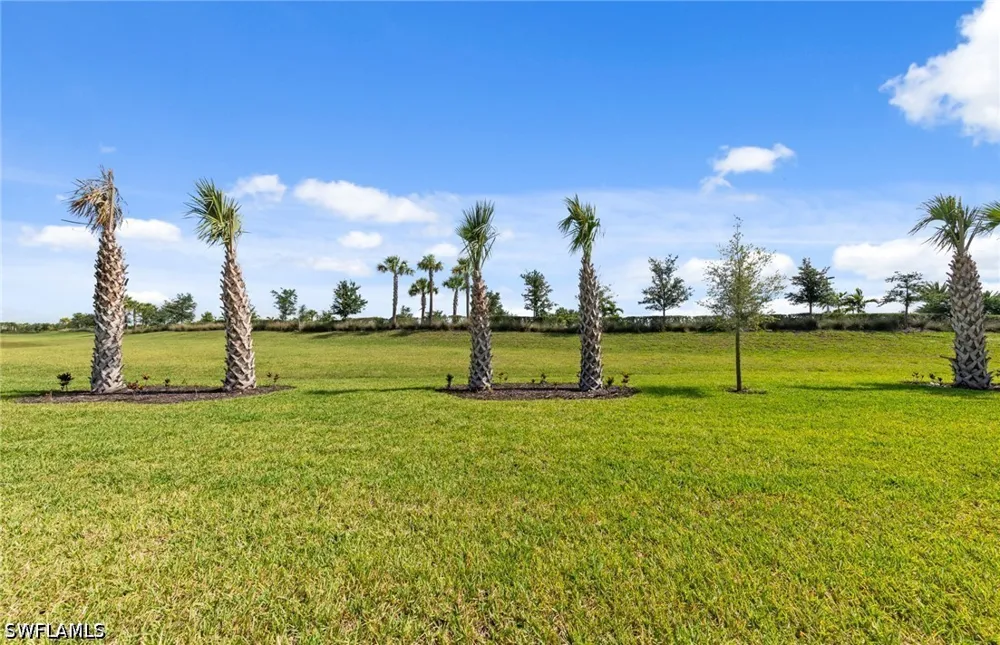 Memorial Lane Ave Maria, FL 34142