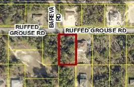 13364 RUFFED GROUSE ROAD