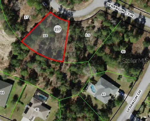 6 GERANIUM COURT W Homosassa, FL 34446