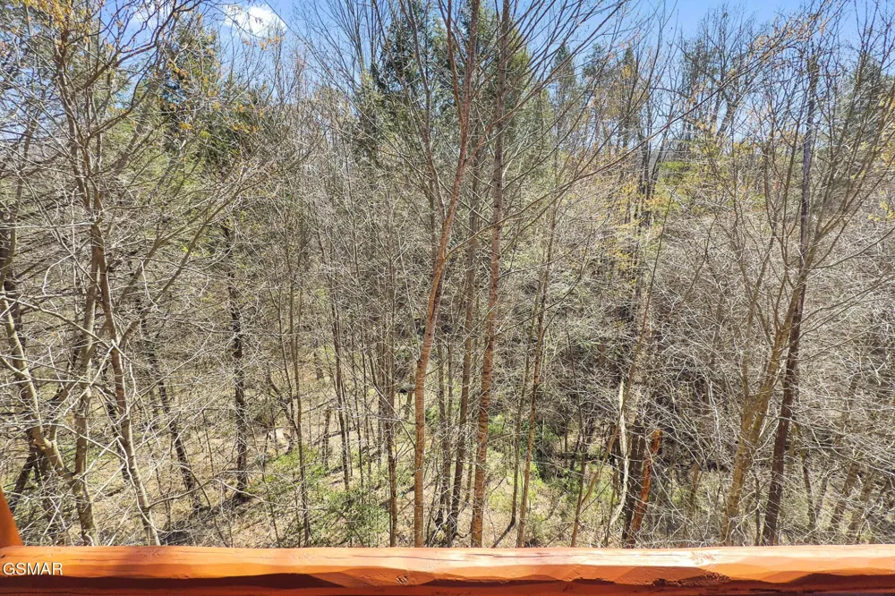 4355 Forest Ridge Way Pigeon Forge, TN 37863