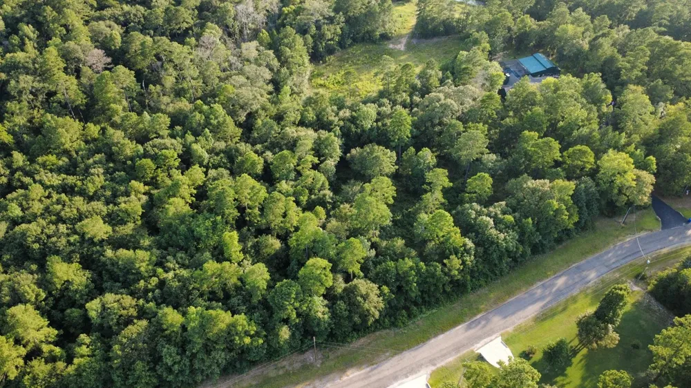 Sundog Road Road Huntsville, TX 77340