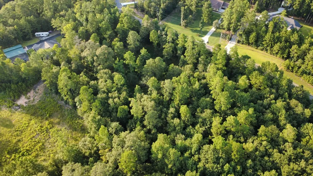 Sundog Road Road Huntsville, TX 77340