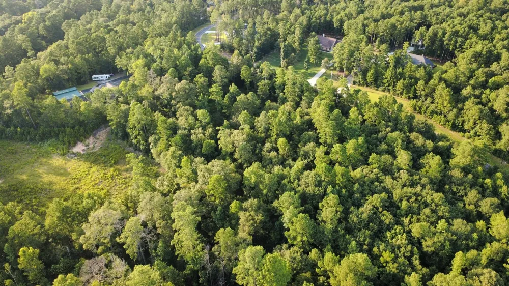 Sundog Road Road Huntsville, TX 77340