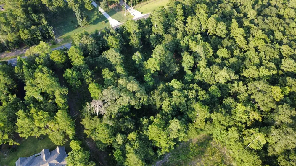 Sundog Road Road Huntsville, TX 77340