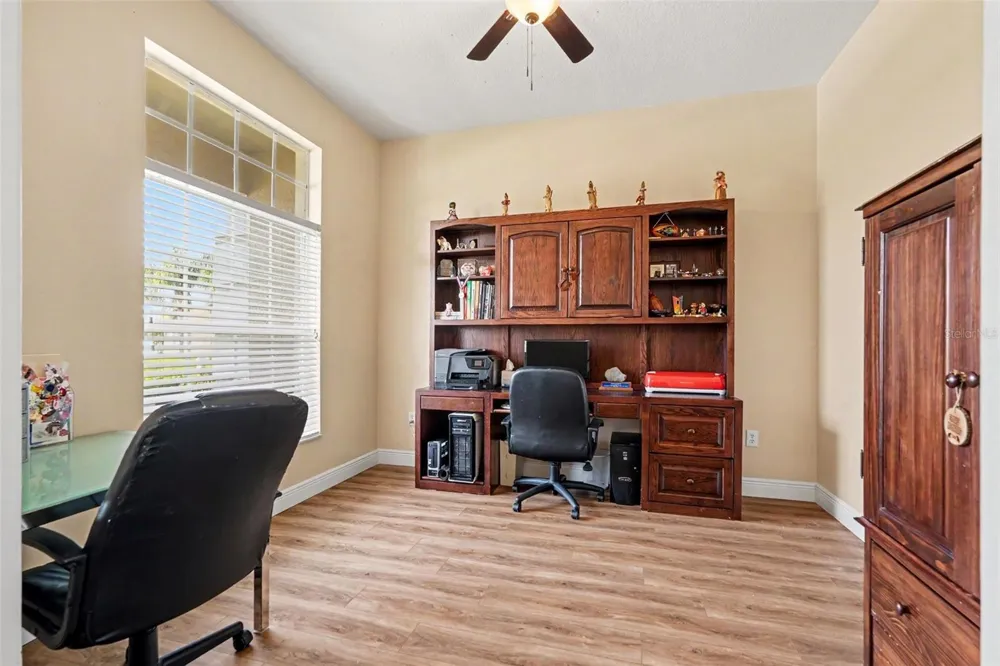 25741 RISEN STAR DR Wesley Chapel, FL 33544