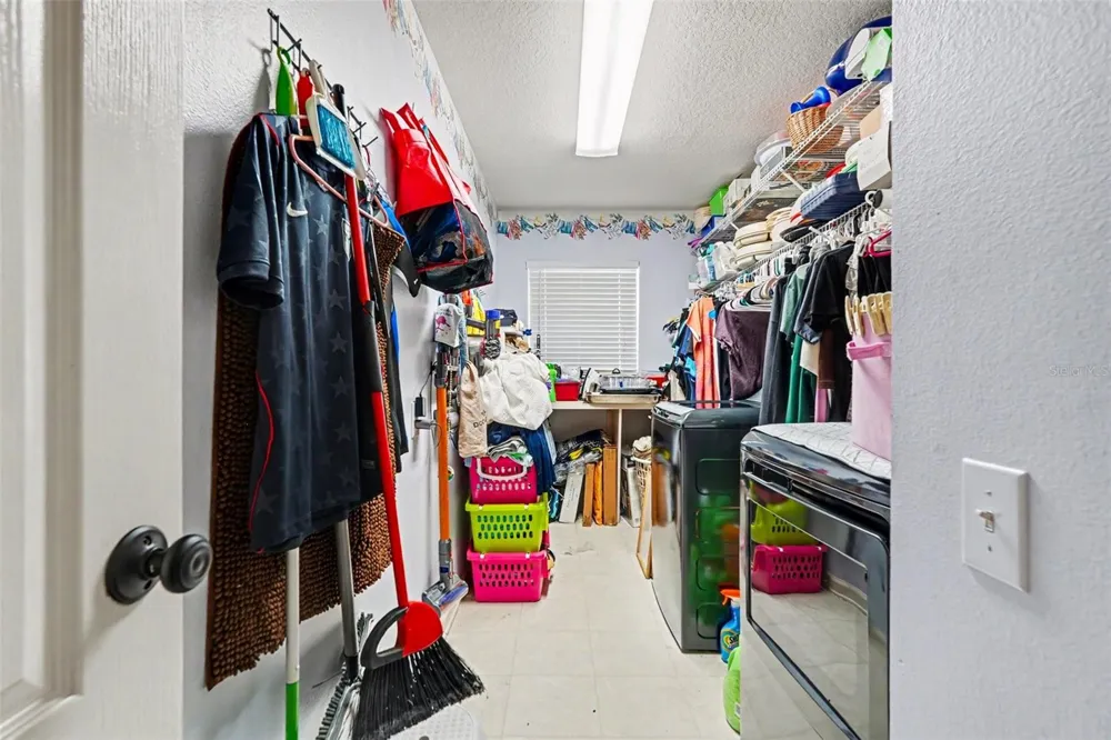 25741 RISEN STAR DR Wesley Chapel, FL 33544