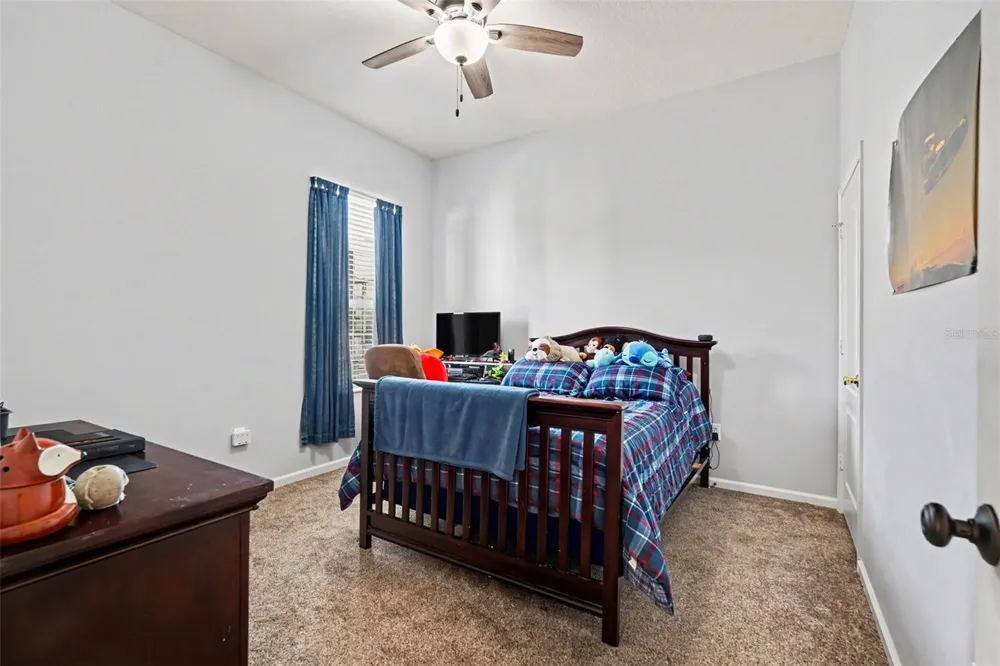 25741 RISEN STAR DR Wesley Chapel, FL 33544