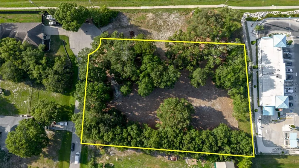 17380 RIVERSTONE DRIVE Lutz, FL 33558