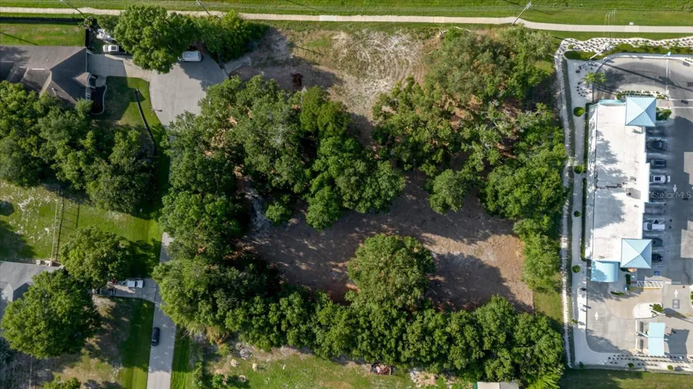 17380 RIVERSTONE DRIVE Lutz, FL 33558