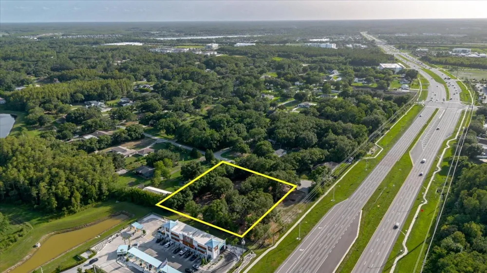 17380 RIVERSTONE DRIVE Lutz, FL 33558