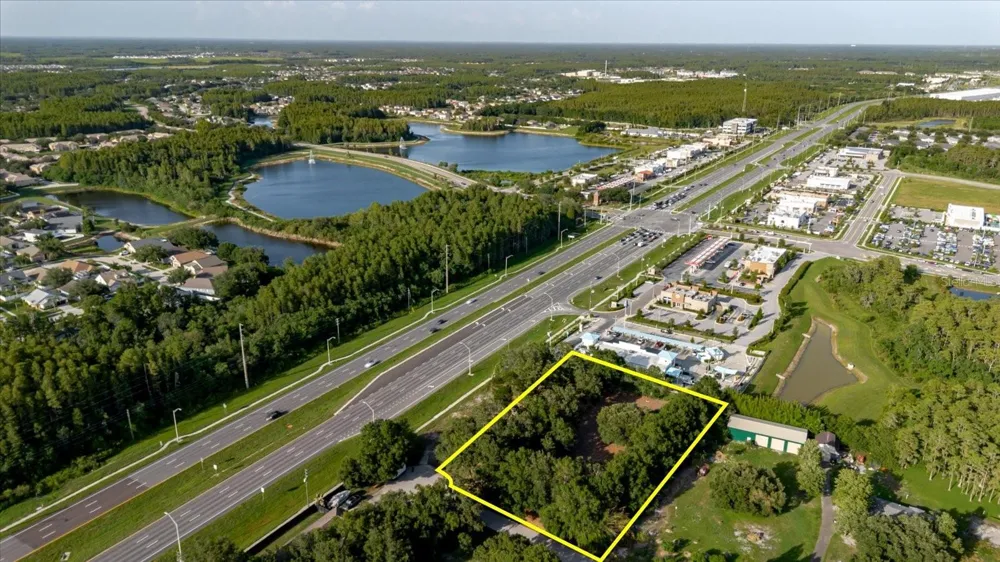 17380 RIVERSTONE DRIVE Lutz, FL 33558