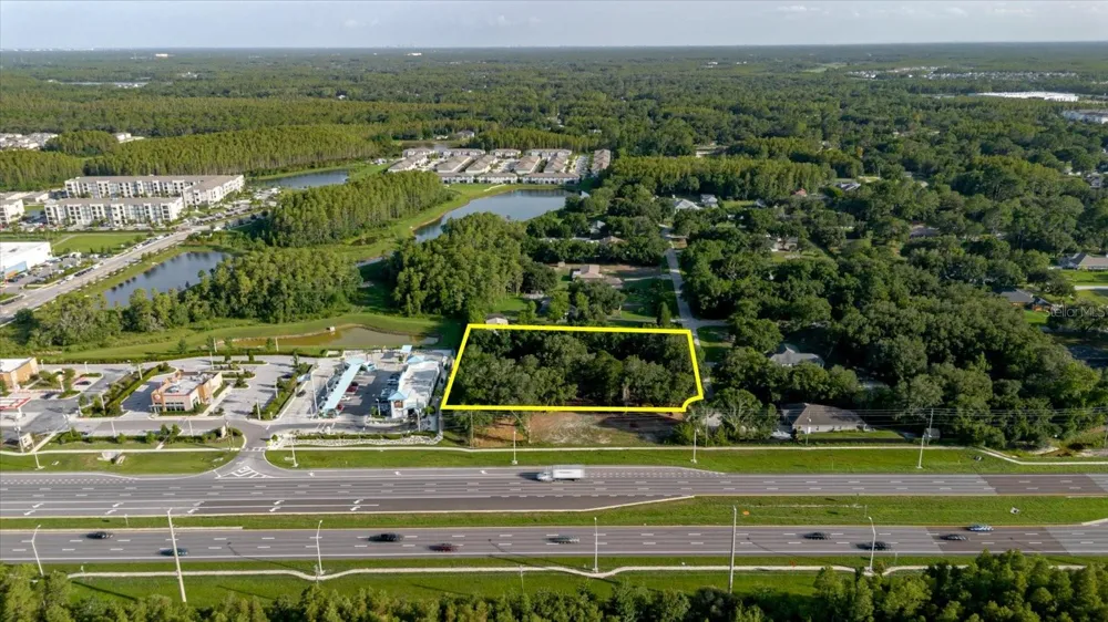 17380 RIVERSTONE DRIVE Lutz, FL 33558