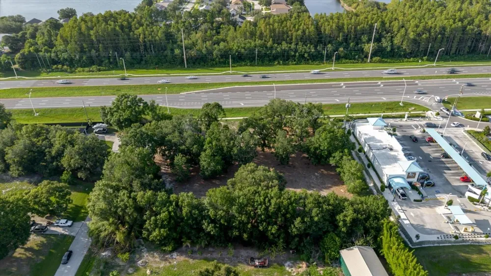 17380 RIVERSTONE DRIVE Lutz, FL 33558
