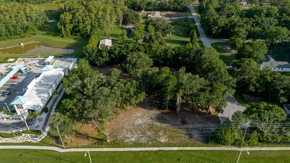 17380 RIVERSTONE DRIVE Lutz, FL 33558