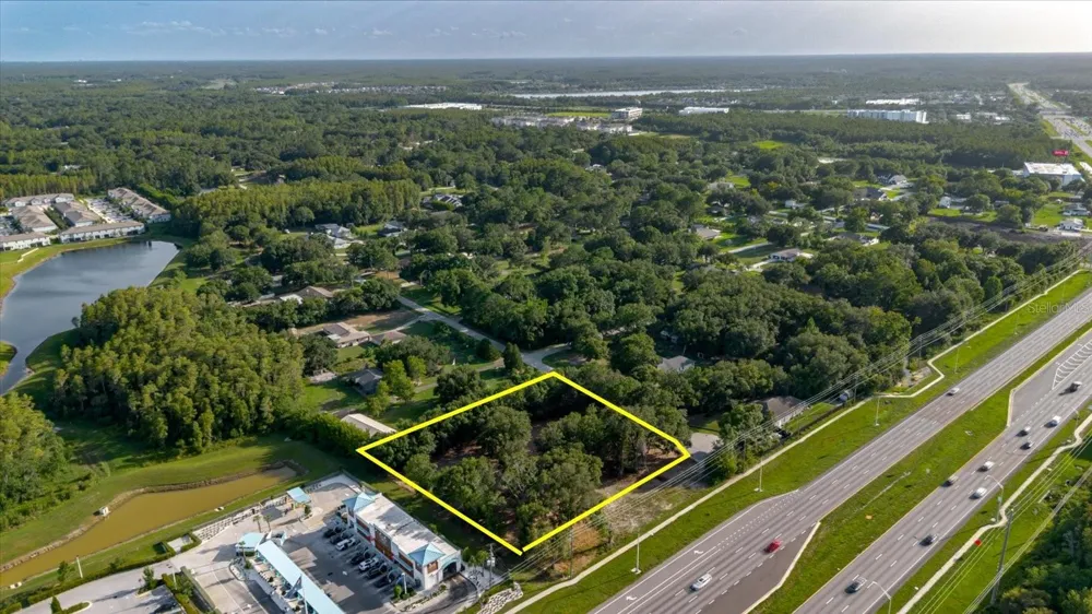 17380 RIVERSTONE DRIVE Lutz, FL 33558