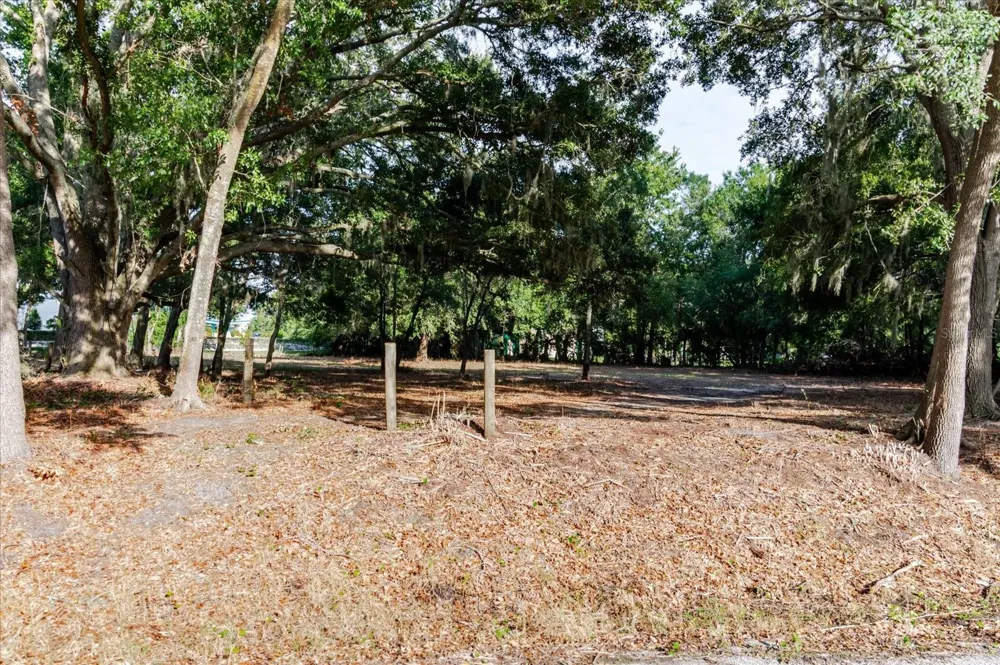 17380 RIVERSTONE DRIVE Lutz, FL 33558