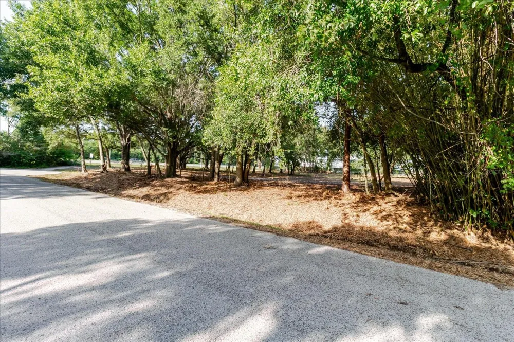 17380 RIVERSTONE DRIVE Lutz, FL 33558