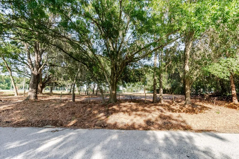 17380 RIVERSTONE DRIVE Lutz, FL 33558