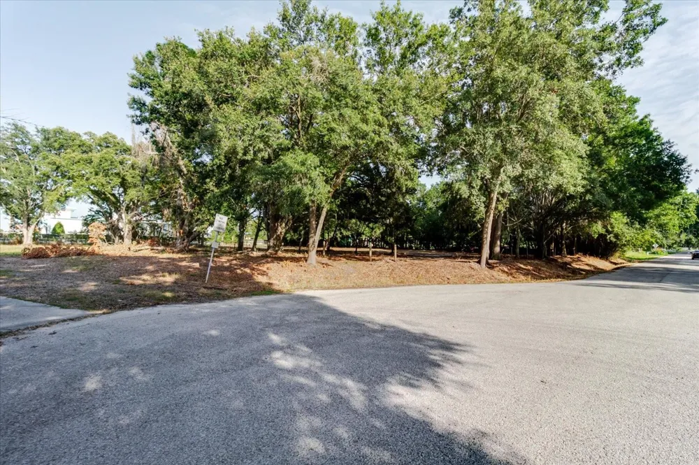 17380 RIVERSTONE DRIVE Lutz, FL 33558